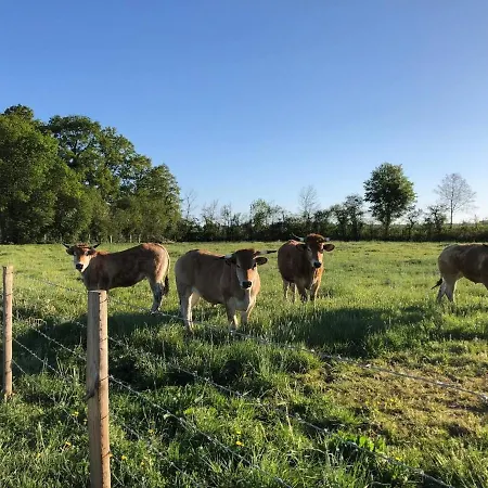De Charme Au Bord De L'eau, à 30min Du Mans, Cadre Paisible Avec Pêche Et Randonnées à Proximité - Fr-1-410-414 Hébergement de vacances