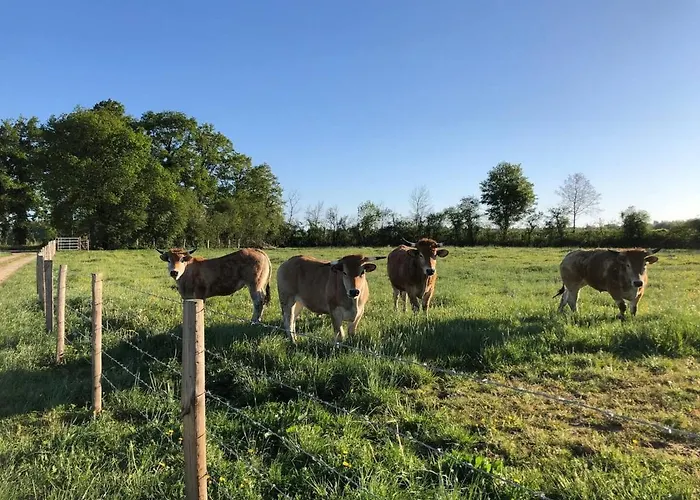 De Charme Au Bord De L'eau, A 30min Du Mans, Cadre Paisible Avec Peche Et Randonnees A Proximite - Fr-1-410-414 Dom wakacyjny